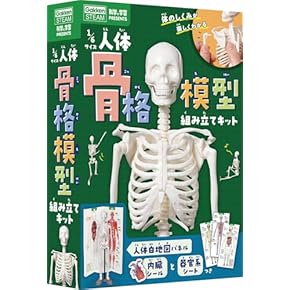 Amazon.co.jp: カイロプラクティック・整体 - 家庭医学・健康: 本